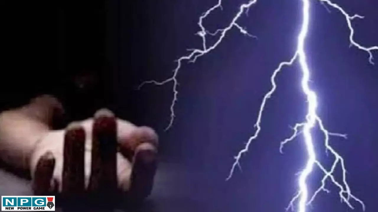 CG News: सावधान! गरजते बादलों के बीच बाहर निकलना हो सकता है जानलेवा, छत्तीसगढ़ में भाजी तोड़ने गईं महिलाओं की बिजली गिरने से हुई मौत CG News: सावधान! गरजते बादलों के बीच बाहर निकलना हो सकता है जानलेवा, छत्तीसगढ़ में भाजी तोड़ने गईं महिलाओं की बिजली गिरने से हुई मौत