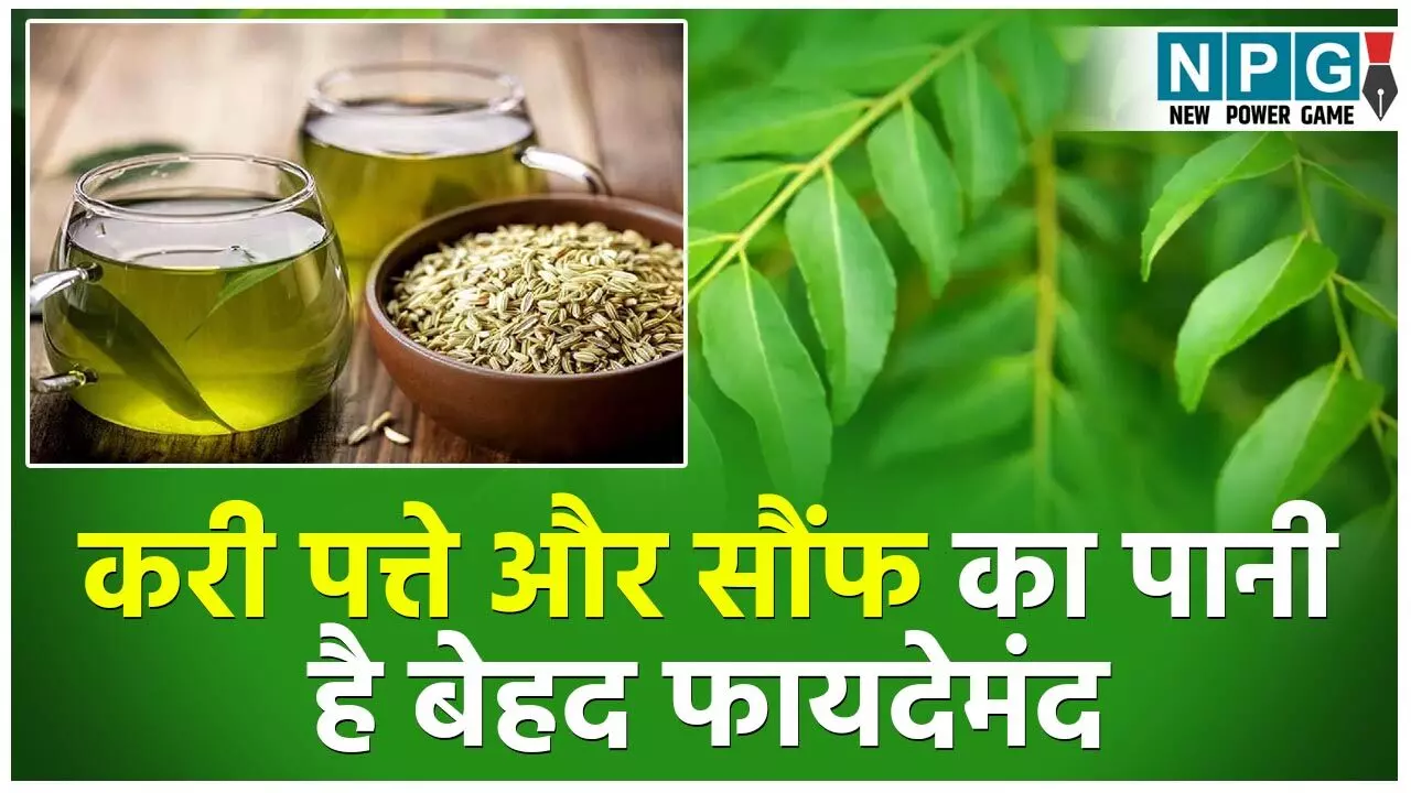 Curry Patte Aur Sauf Ka Pani Peene Ke Fayde: करी पत्ते और सौंफ का पानी है बेहद फायदेमंद, सुबह खाली पेट पीने से होंगे ये लाभ...