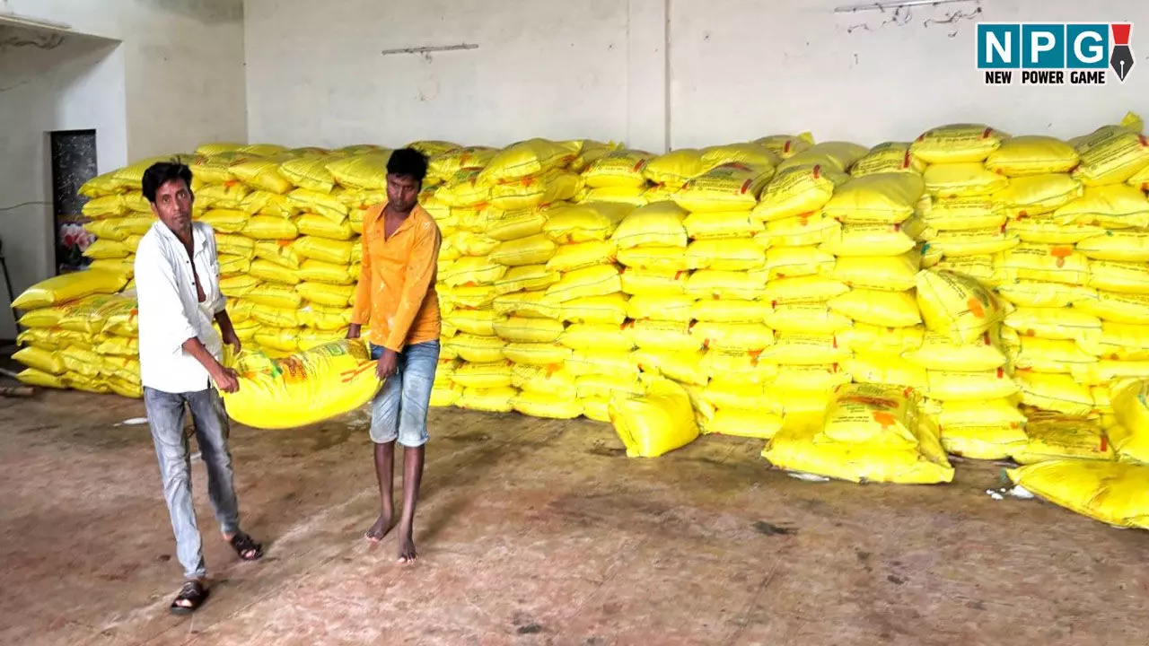 राज्य में खाद-बीज और कीटनाशक औषधियों की गुणवत्ता की जांच जारी, 4775 मानक और 297 नमूने अमानक पाए गए राज्य में खाद-बीज और कीटनाशक औषधियों की गुणवत्ता की जांच जारी, 4775 मानक और 297 नमूने अमानक पाए गए