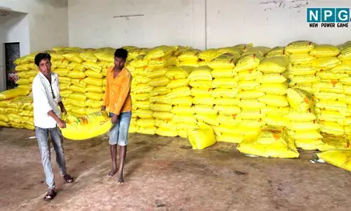 राज्य में खाद-बीज और कीटनाशक औषधियों की गुणवत्ता की जांच जारी, 4775 मानक और 297 नमूने अमानक पाए गए