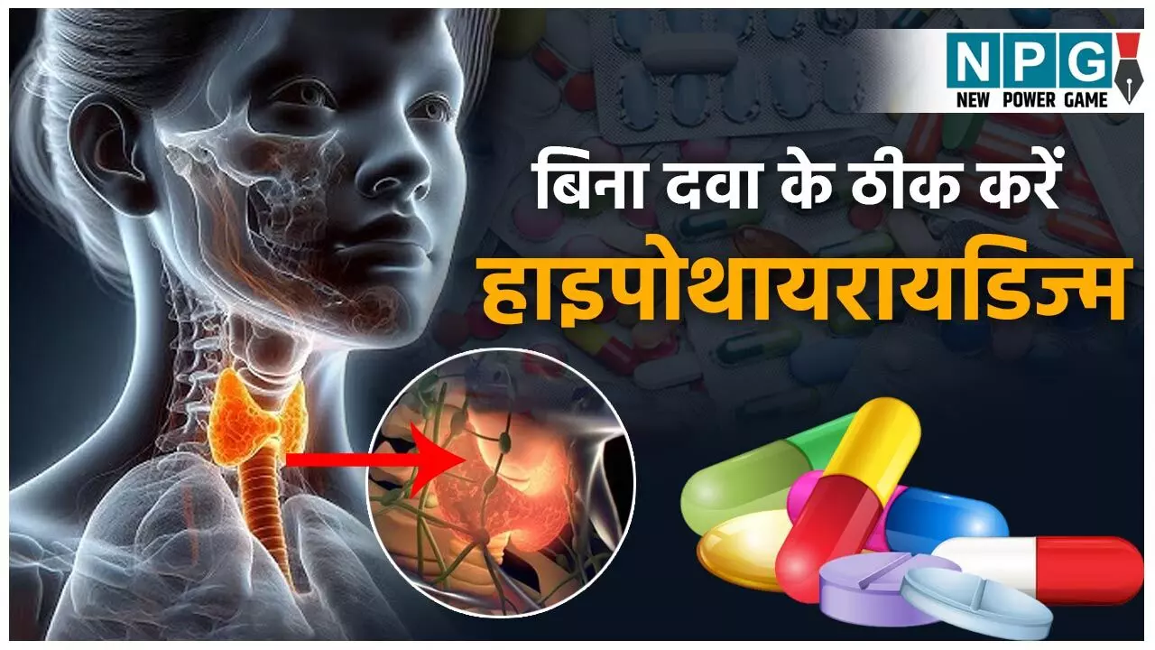 Diet For Hypothyroidism: बिना दवा के ठीक करें हाइपोथायरायडिज्म