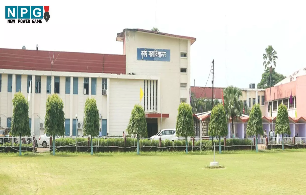 CG Agricultural Colleges: कृषि महाविद्यालयों के स्नातक पाठ्यक्रमों में प्रवेश हेतु ऑनलाइन काउंसलिंग प्रक्रिया शुरू, इस तारीख को सीट व महाविद्यालय का आबंटन