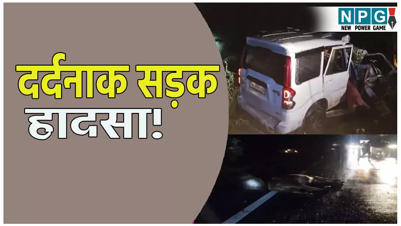 गाय को बचाने के चक्कर में खाई में गिरी कार, हादसे में 4 परिवारों की छीन गई खुशियां