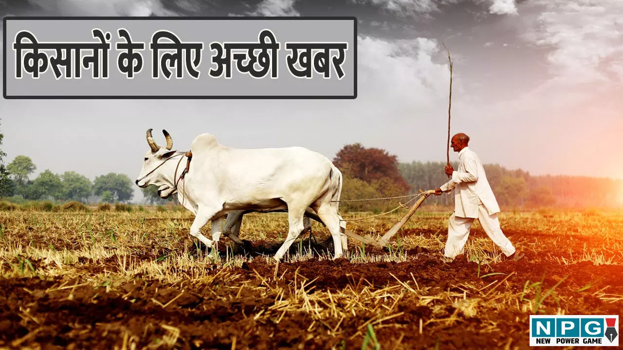 CG Agriculture News: किसानों के लिए अच्छी खबर: दलहन, तिलहन की फसल लेने पर भी किसानों को मिलेगा कृषक उन्नति योजना का फायदा