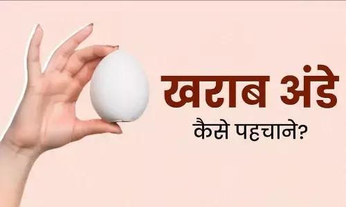 How to Test Expired Eggs Hindi: अंडा ताजा है या सड़ा हुआ?  इन 6 आसान तरीकों से तुरंत करें टेस्ट!