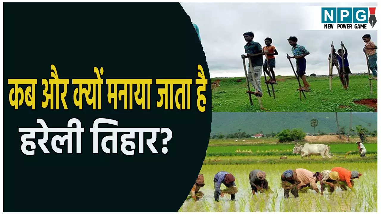 जानिए कब और क्यों मनाया जाता है हरेली तिहार? क्या है महत्व...