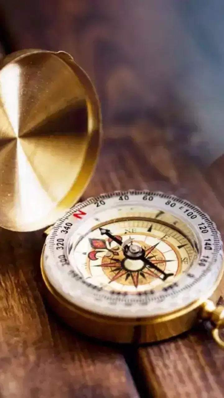 Vastu Tips: घर में इन पौधों को लगाना हो सकता है नुकसानदेह, जानें क्यों