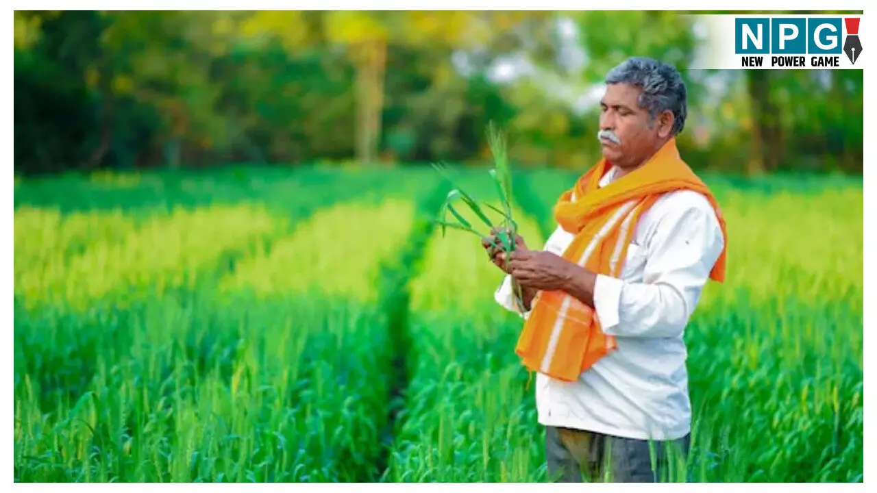 PM Dhan Dhanya Krishi Yojana
