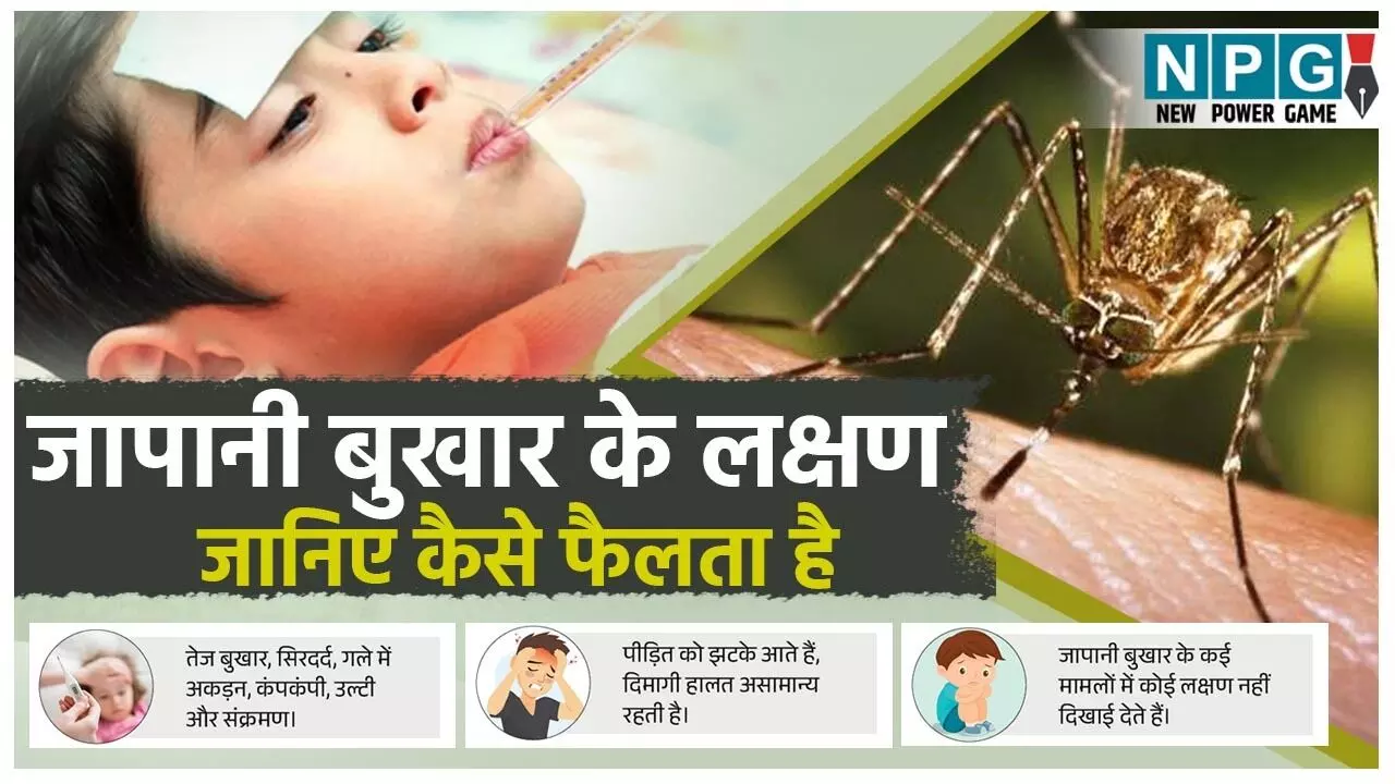 Bastar Japanese Fever