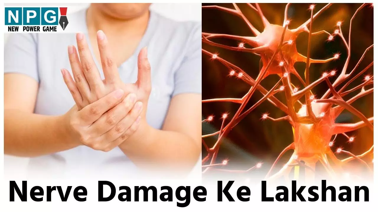 Nerve Damage Ke Lakshan: क्या आपकी हथेलियां और पंजे रहते हैं सुन्न? छोटे-छोटे कामों में आती है दिक्कत? ये हैं नर्व डैमेज के लक्षण, जानिए कैसे करें स्वस्थ जीवन में वापसी...