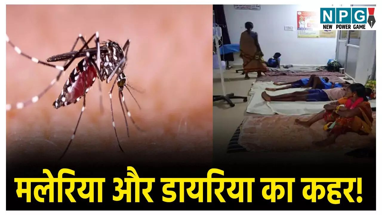 Bijapur Malaria Outbreak 2025