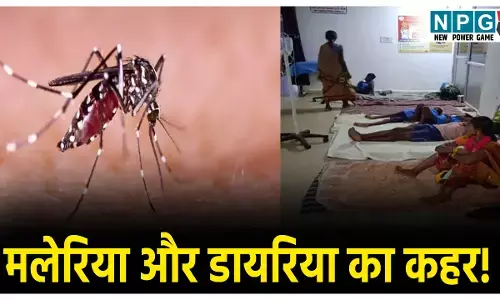 Bijapur Malaria Outbreak 2025