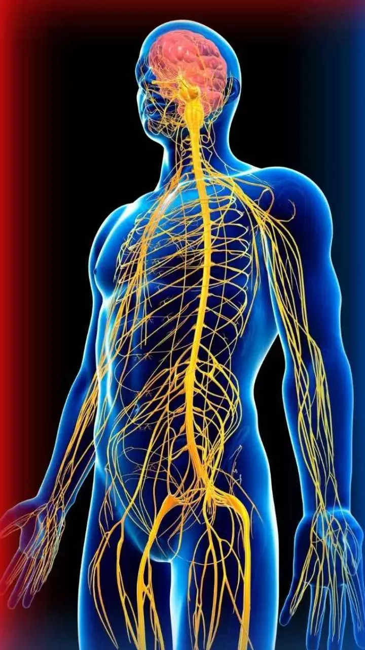Nerve damage Ke Lakshan:  चैक करें नर्व डैमेज के ये लक्षण आप में तो नहीं, वरना जीवन होगा मुश्किल