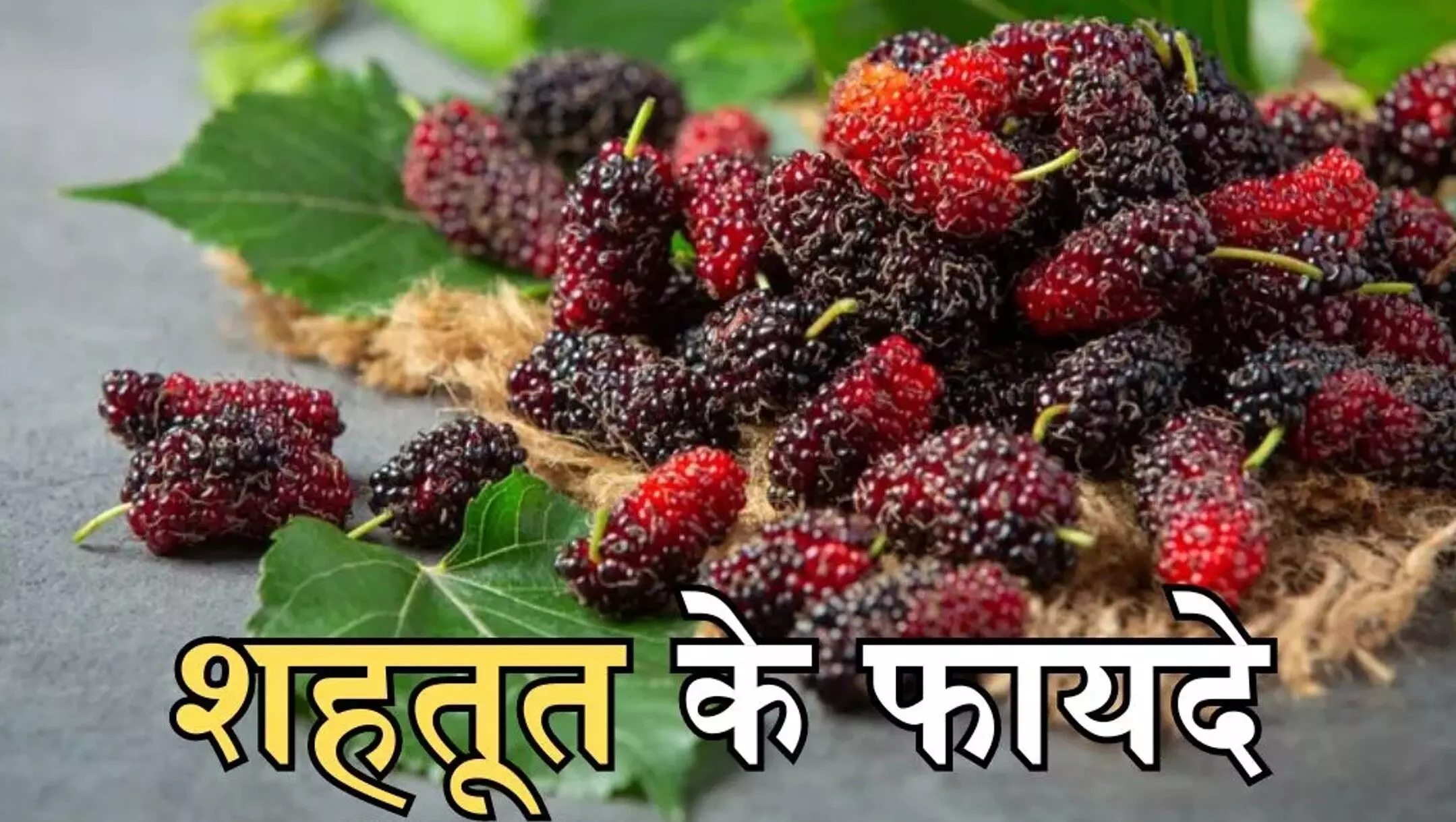 Mulberry Benefits for Women: शहतूत के फायदे महिलाओं के लिए - पीरियड क्रैम्प्स से लेकर मेनोपॉज और खूबसूरती बढ़ाने तक उपयोगी।