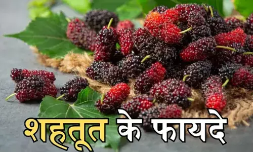 Mulberry Benefits for Women: शहतूत के फायदे महिलाओं के लिए - पीरियड क्रैम्प्स से लेकर मेनोपॉज और खूबसूरती बढ़ाने तक उपयोगी।