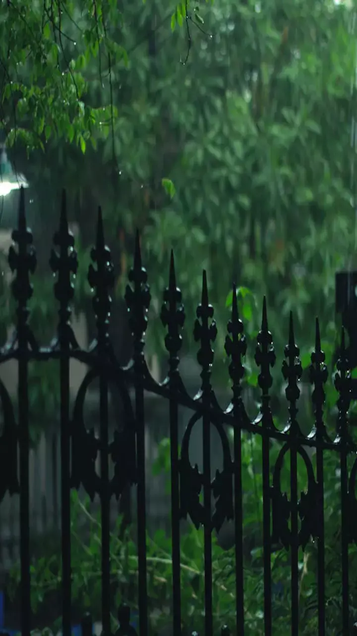 CG Weather Update: छत्तीसगढ़ में अगले 5 दिन भारी बारिश और बिजली गिरने का अलर्ट, रहें सतर्क