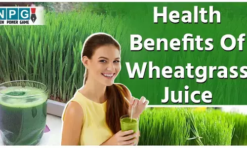 Health Benefits Of Wheatgrass Juice In Hindi: व्हीट ग्रास जूस बाॅडी को करे डिटाॅक्स, बेदाग निखार के साथ शरीर को दे गज़ब की मजबूती, जानिये कमाल के फायदे...