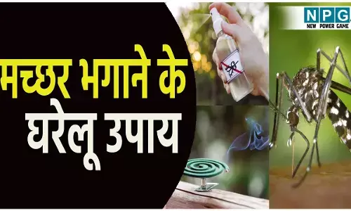Mosquito Spray For House: अगर आप भी मच्छरों से हैं परेशान, तो तुरंत बनाएं ये देशी स्प्री, मच्छर हो जाएंगे छूमंतर