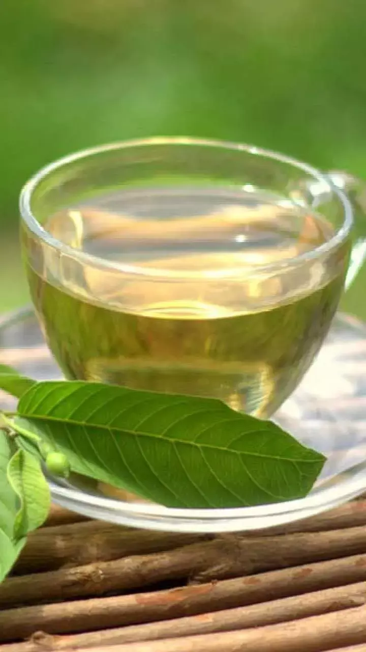 Amrood Ke Patte Ki Chai Ke Fayde: रोजाना पिएं अमरूद के पत्तों की चाय, सेहत की इन समस्याओं से मिलेगी राहत