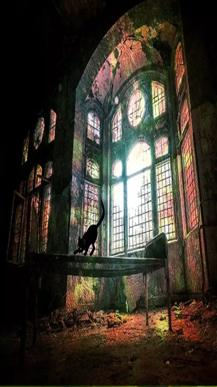 CG Amezing Facts Hindi: रात में भूलकर भी न जाएं छत्तीसगढ़ की इन भूतिया जगहों में, आज भी कांप उठती है रूह!