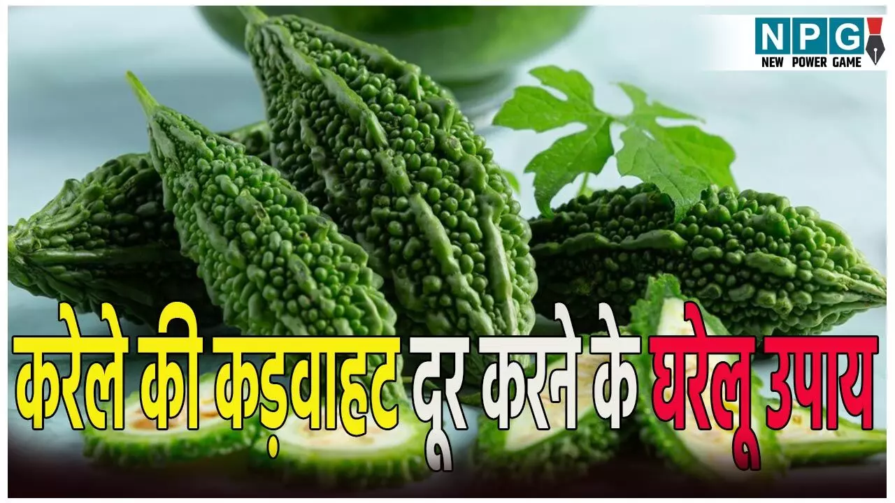 Remove Bitterness From Bitter Gourd: अगर आप भी करेले की कड़वाहट से हैं परेशान? तो तुरंत अपनाएं ये घरेलू उपाय, चुटकियों में दूर होगा कड़वापन