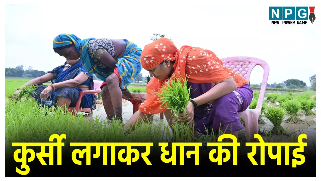 Minister Laxmi Rajwade News