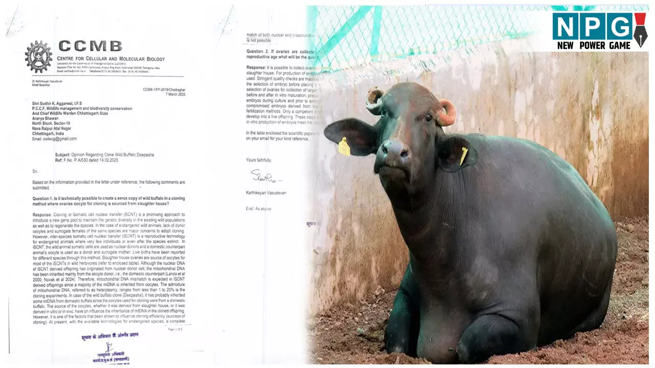 दीप आशा का क्लोनिंग या वन अधिकारियों का फर्जीवाड़ा, RTI से हुआ कुछ ऐसा खुलासा दीप आशा का क्लोनिंग या वन अधिकारियों का फर्जीवाड़ा, RTI से हुआ कुछ ऐसा खुलासा