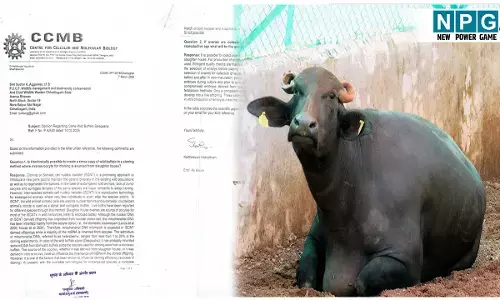 दीप आशा का क्लोनिंग या वन अधिकारियों का फर्जीवाड़ा, RTI से हुआ कुछ ऐसा खुलासा