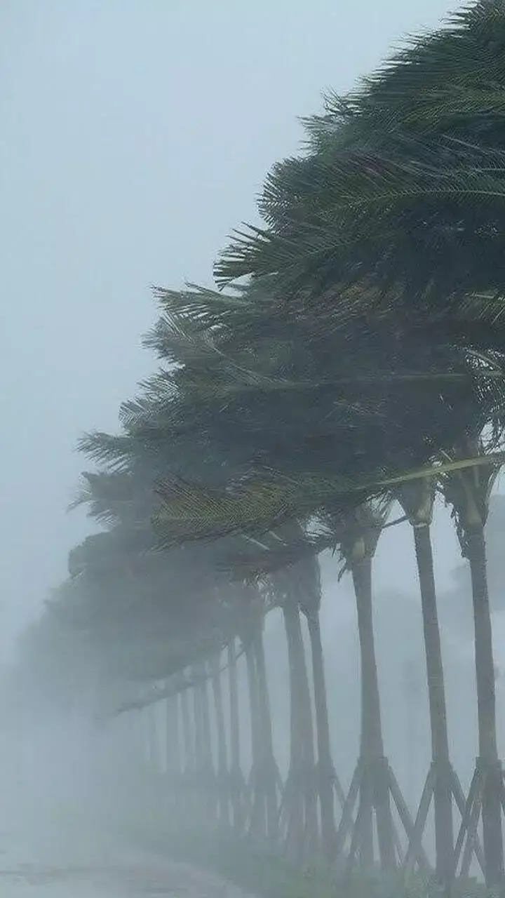 CG Weather Update: छत्तीसगढ़ में बारिश का तांडव, अगले 4 दिनों तक भारी बारिश की चेतावनी