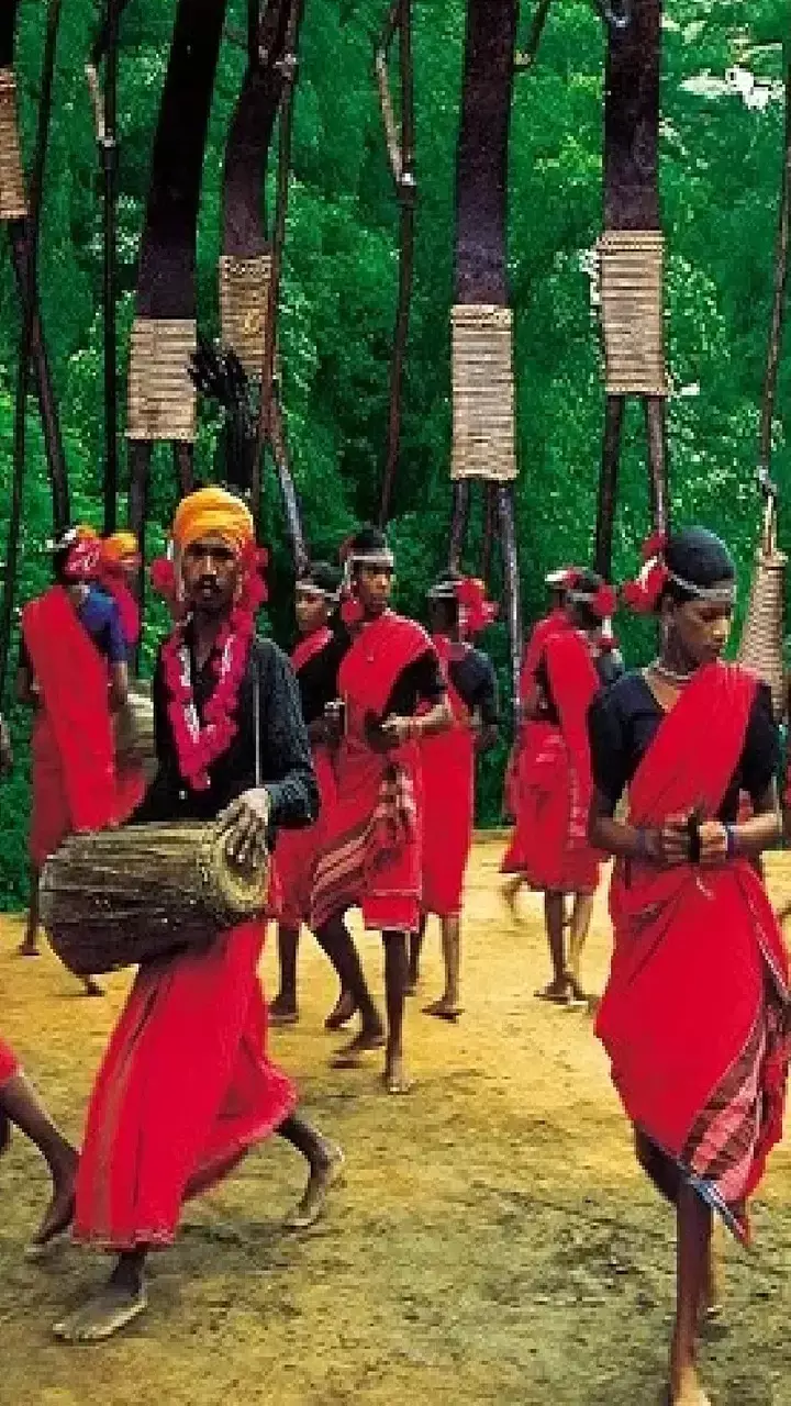 Hareli Tihar 2025: छत्तीसगढ़ का पहला तिहार हरेली, जानें क्या होता है इस दिन खास