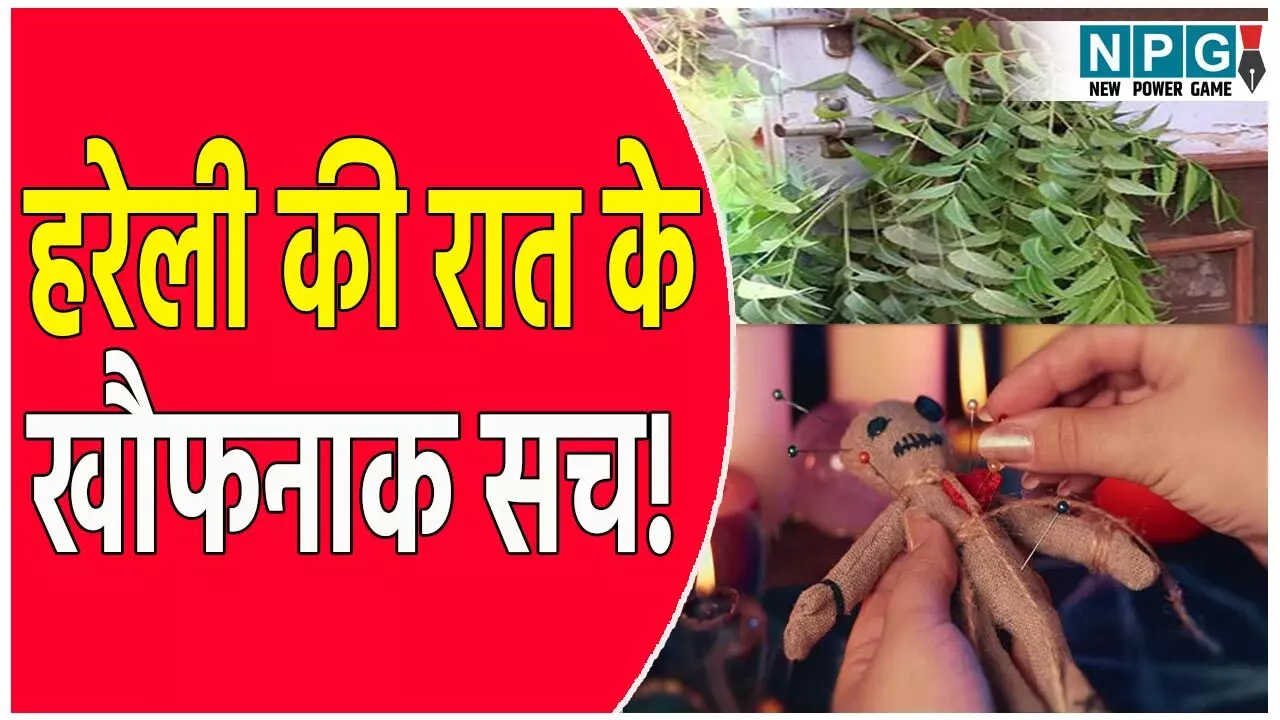 नीम की डंडी, भूत-प्रेत और शमशान की तपस्या- हरेली की रात के खौफनाक सच से उठेगा पर्दा! पढ़िए चौंकाने वाला सच!