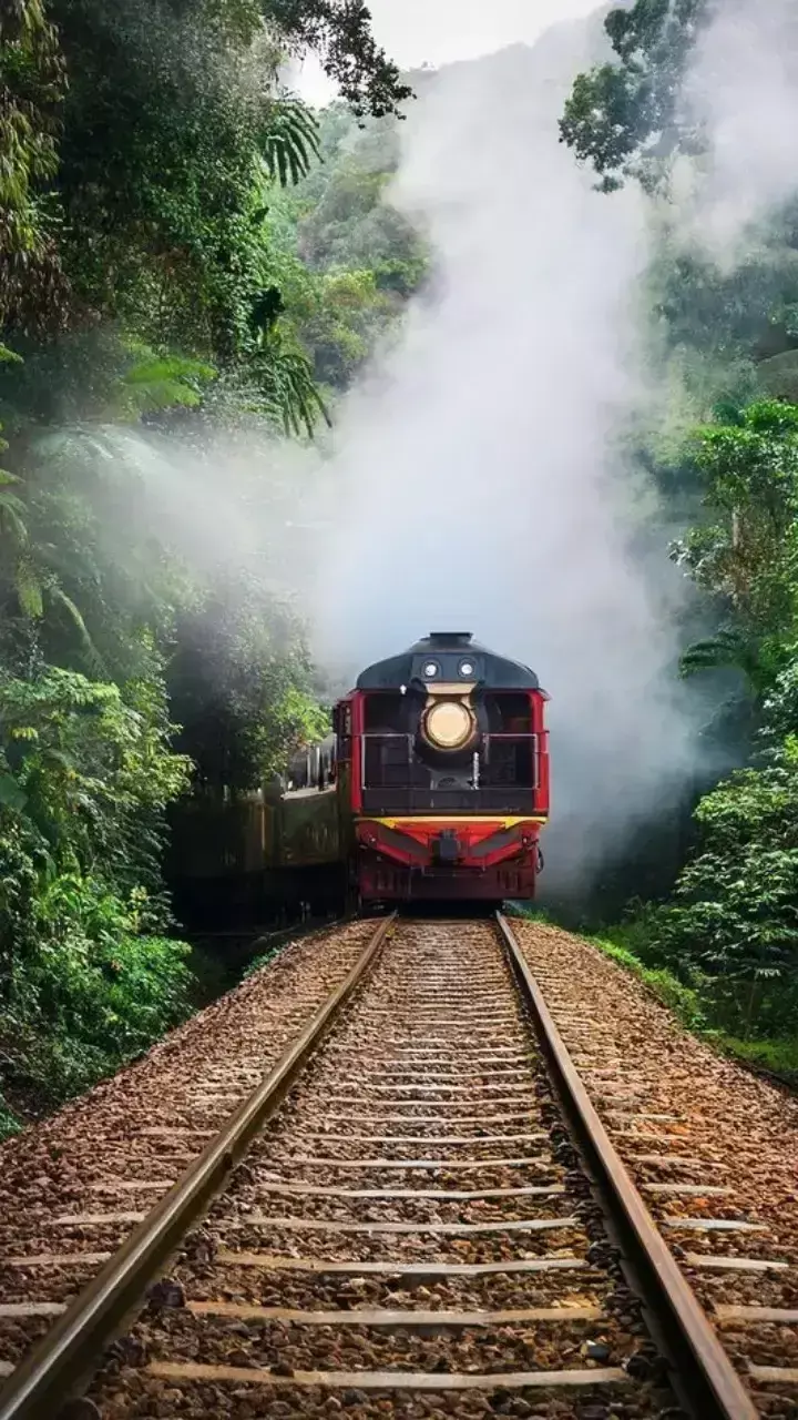 Travel Therapy Ke Fayde: ट्रैवल थेरेपी है जरूरी, घूमने-फिरने से मिलते हैं सेहत के ये चमत्कारी फायदे