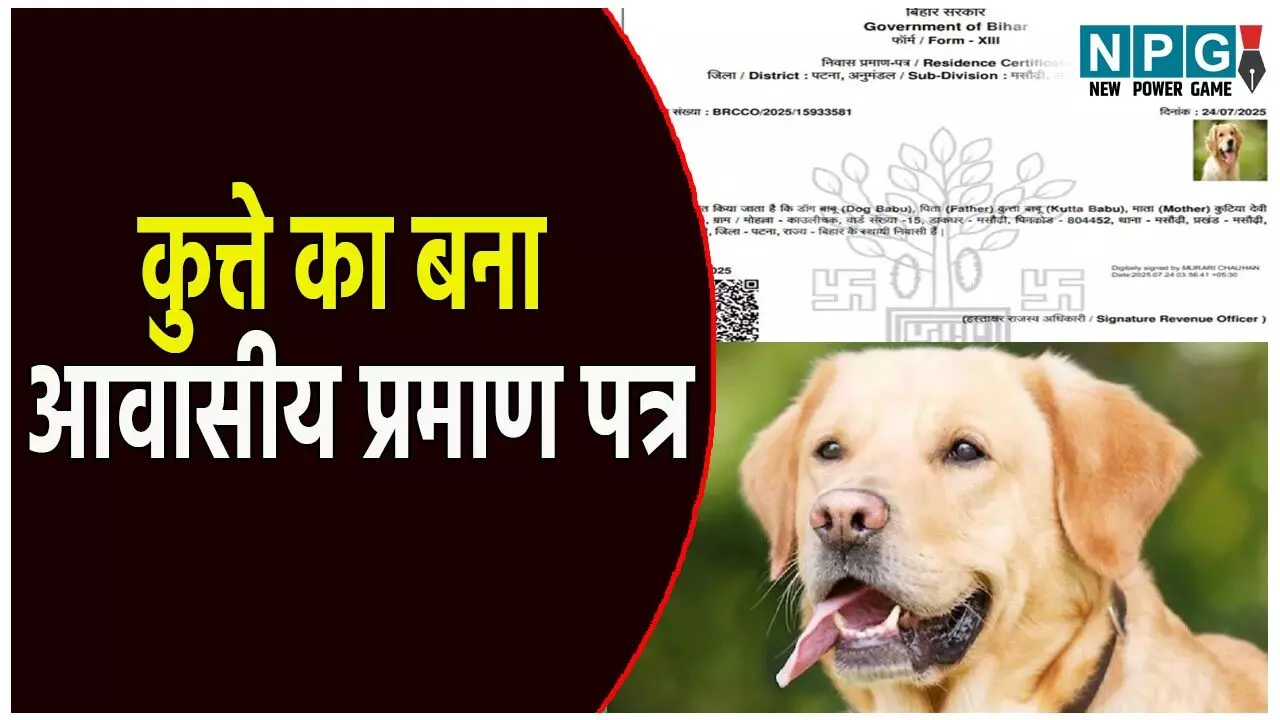 Patna Dog Awasiya Praman Patra: कुत्ते का बना निवास प्रमाण पत्र: पिता का नाम कुत्ता बाबू और मां कुटिया देवी, DM ने दिए जांच के आदेश Patna Dog Awasiya Praman Patra: कुत्ते का बना निवास प्रमाण पत्र: पिता का नाम कुत्ता बाबू और मां कुटिया देवी, DM ने दिए जांच के आदेश