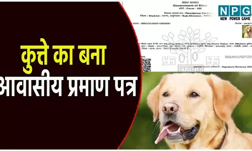 Patna Dog Awasiya Praman Patra: कुत्ते का बना निवास प्रमाण पत्र: पिता का नाम कुत्ता बाबू और मां कुटिया देवी, DM ने दिए जांच के आदेश