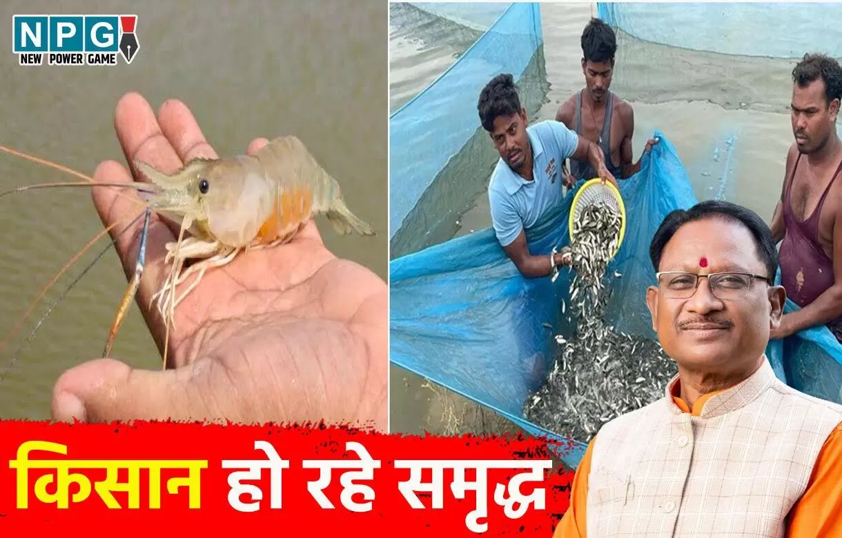 CM विष्णुदेव साय की सरकार में किसान हो रहे समृद्ध, झींगा पालन में नया अध्याय लिख रहा है सुकमा जिला, छत्तीसगढ़ का मत्स्य बीज हब बना कांकेर