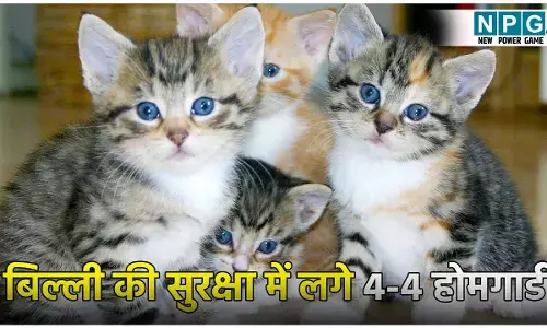 बिल्ली की सुरक्षा में लगे 4-4 होमगार्ड: कुछ भी होने पर दी चेतावनी!, सामने आई हैरान कर देने वाली सच्चाई