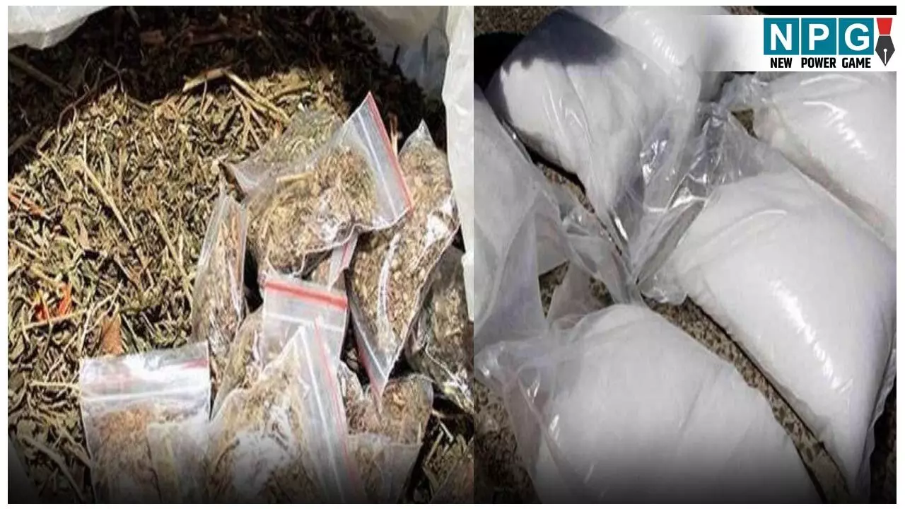 टूल बॉक्स के अंदर गांजा-अफीम की तस्करी, रायपुर में बेचते पकड़ाया एक आरोपी...