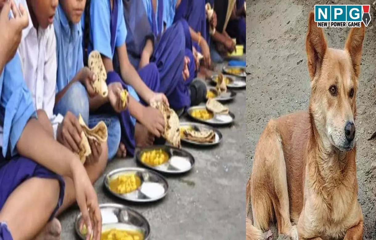 Balodabazar News: कुत्ते का जूठा खाना छात्रों को परोसा, शिकायत पर हुई कार्रवाई, महिला समूह को संचालन से किया गया पृथक Balodabazar News: कुत्ते का जूठा खाना छात्रों को परोसा, शिकायत पर हुई कार्रवाई, महिला समूह को संचालन से किया गया पृथक