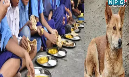 Balodabazar News: कुत्ते का जूठा खाना छात्रों को परोसा, शिकायत पर हुई कार्रवाई, महिला समूह को संचालन से किया गया पृथक