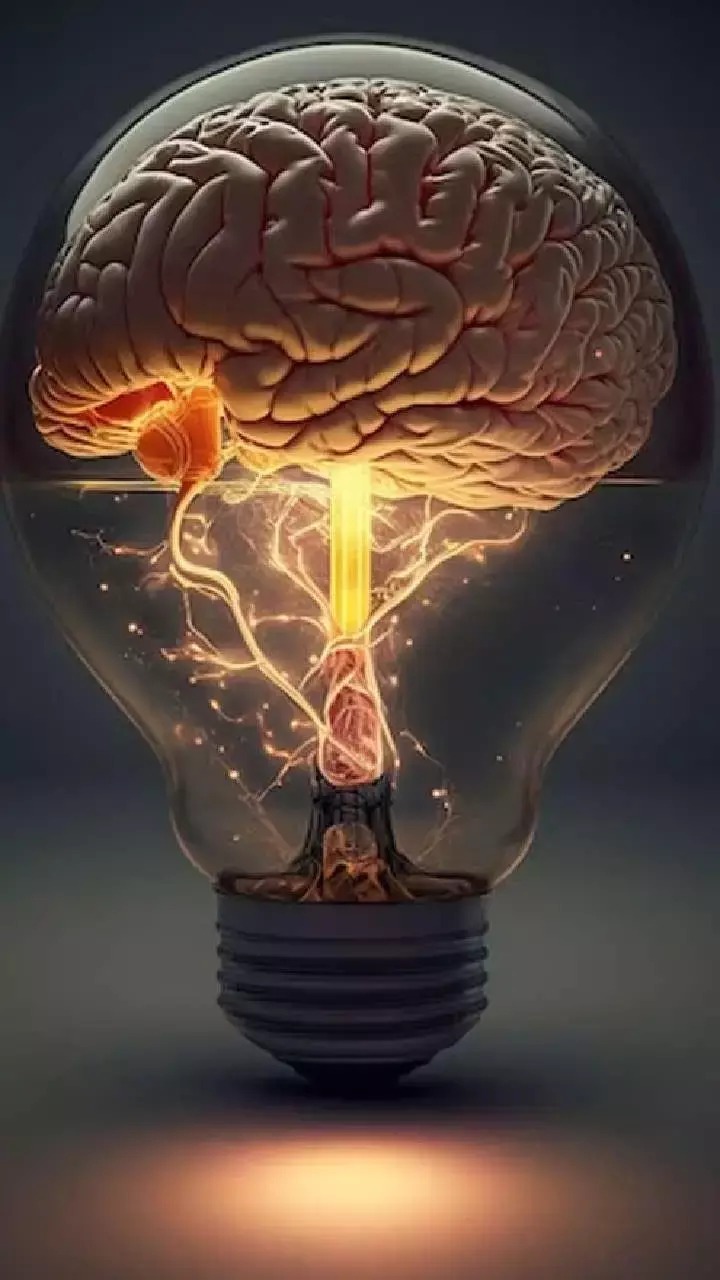 Yaddasht Badhane Ke Liye Kya Khaye:  क्या अक्सर भूल जाते हैं बातें, आज ही खाना शुरू करें ये चीजें बढ़ेगी याददाश्त