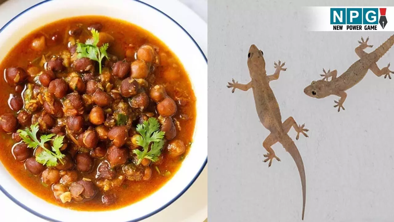 CG Lizard Food News:सब्जी में गिरी छिपकली, खाना खाते ही बीमार पड़ा पूरा परिवार!