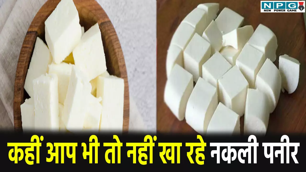 CG News: सावधान! कहीं आप भी तो नहीं खा रहे नकली पनीर, ऐसे करें पहचान, त्योहारी सीजन में फिर सक्रिय हुए मिलावटखोर