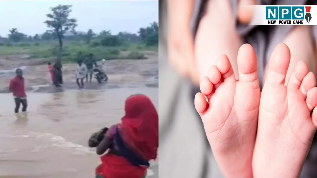 CG News: छत्तीसगढ़ के स्वास्थ्य तंत्र की खुली पोल! न अस्पताल, न सड़क, न पुल… नदी पार करते महिला ने बच्चे को दिया जन्म