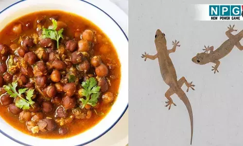 CG Lizard Food News:सब्जी में गिरी छिपकली, खाना खाते ही बीमार पड़ा पूरा परिवार!