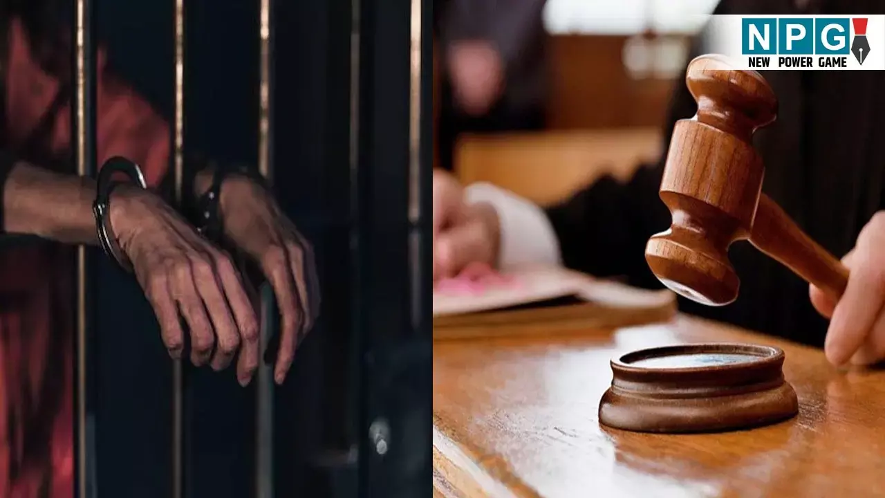 CG Raipur News: मोबाइल लूटने पर दो को उम्रकैद, कोर्ट ने की ऐसी टिपण्णी जिसे सुनकर हर अपराधी का दिल कांप जायेगा!