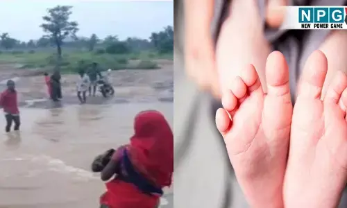 CG News: छत्तीसगढ़ के स्वास्थ्य तंत्र की खुली पोल! न अस्पताल, न सड़क, न पुल… नदी पार करते महिला ने बच्चे को दिया जन्म