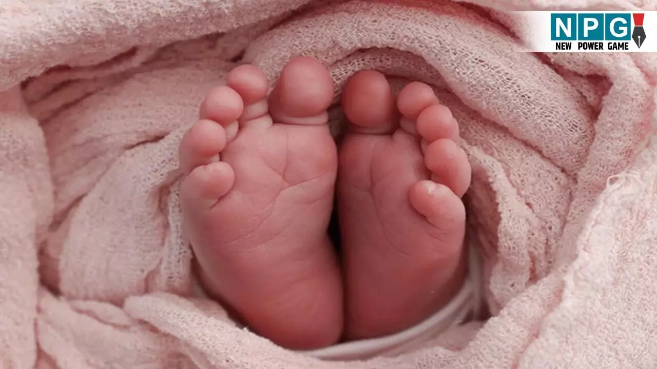 Kabirdham News: चिल्फी घाटी में लावारिस मिली दो दिन की नवजात बच्ची