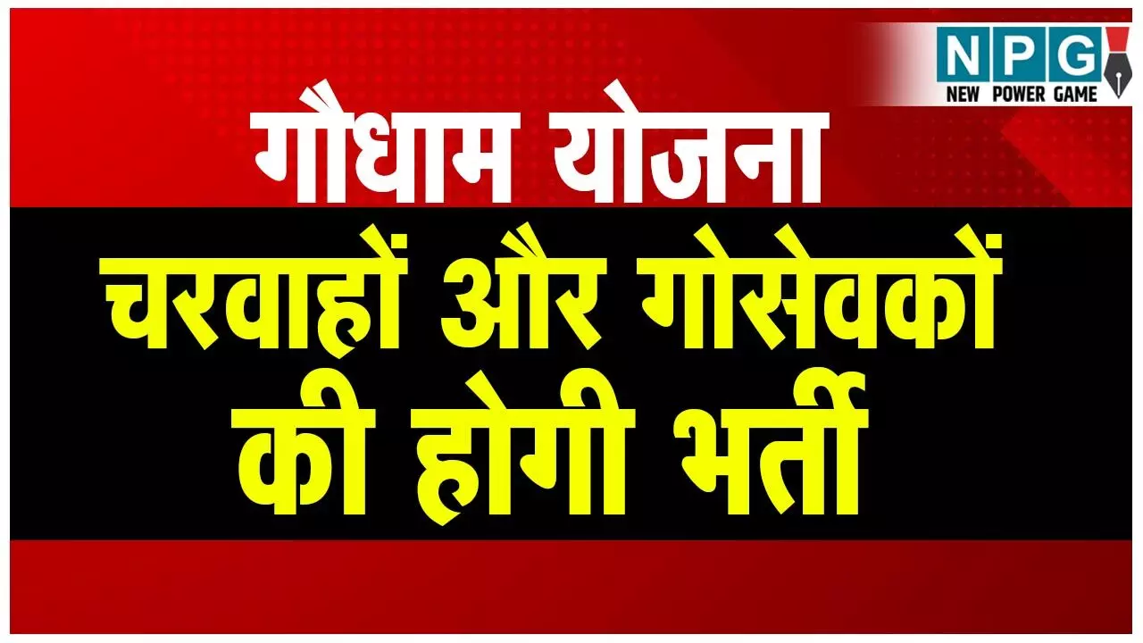 CG Gaudham Yojana: चरवाहों और गोसेवकों की भर्तीः गौधाम योजना को संचालित करने छत्तीसगढ़ में चरवाहों, गोसेवकों की होगी भर्ती, पढ़िए कितना रहेगा मासिक वेतन...