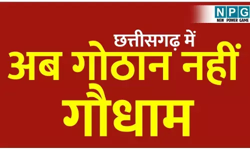 CG Gaudham Yojana: छत्तीसगढ़ में अब गौठान नहीं गौधाम, आदेश जारी, चरवाहों और गोसेवकों को मिलेगा मानदेय, चारा के लिए भी पैसा, वित्त ने दी स्वीकृति, देखिए आदेश...