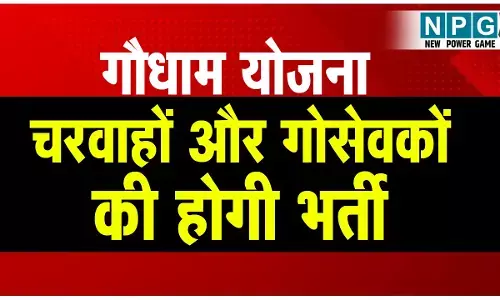 CG Gaudham Yojana: चरवाहों और गोसेवकों की भर्तीः गौधाम योजना को संचालित करने छत्तीसगढ़ में चरवाहों, गोसेवकों की होगी भर्ती, पढ़िए कितना रहेगा मासिक वेतन...